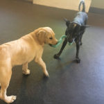 tug time cooper & zoi inside small daycare