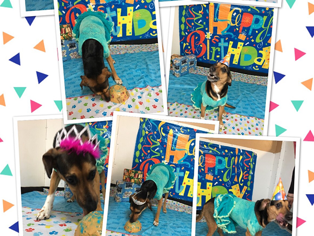 bday-4