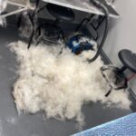 De-shedding Treatment