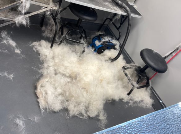 De-shedding Treatment