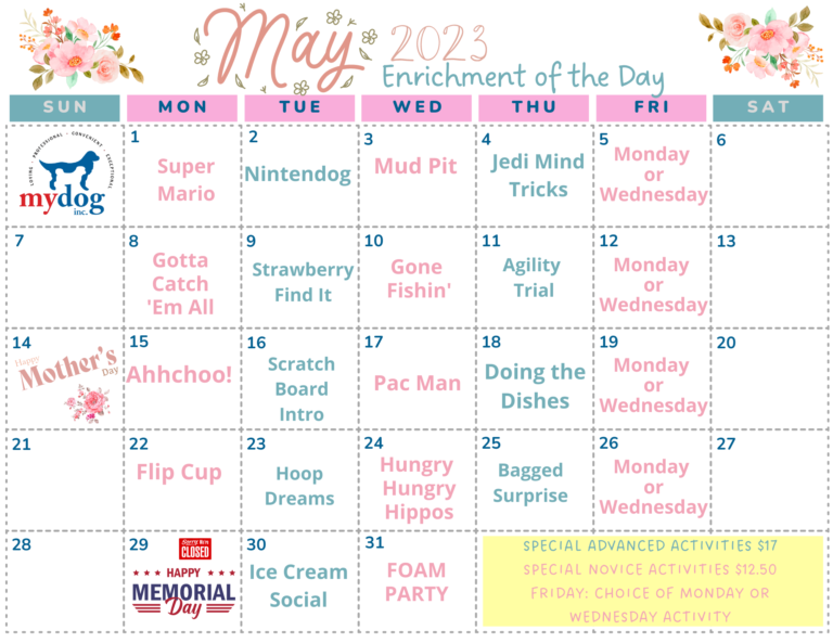 May Canine Enrichment of the Day Activities Calendar