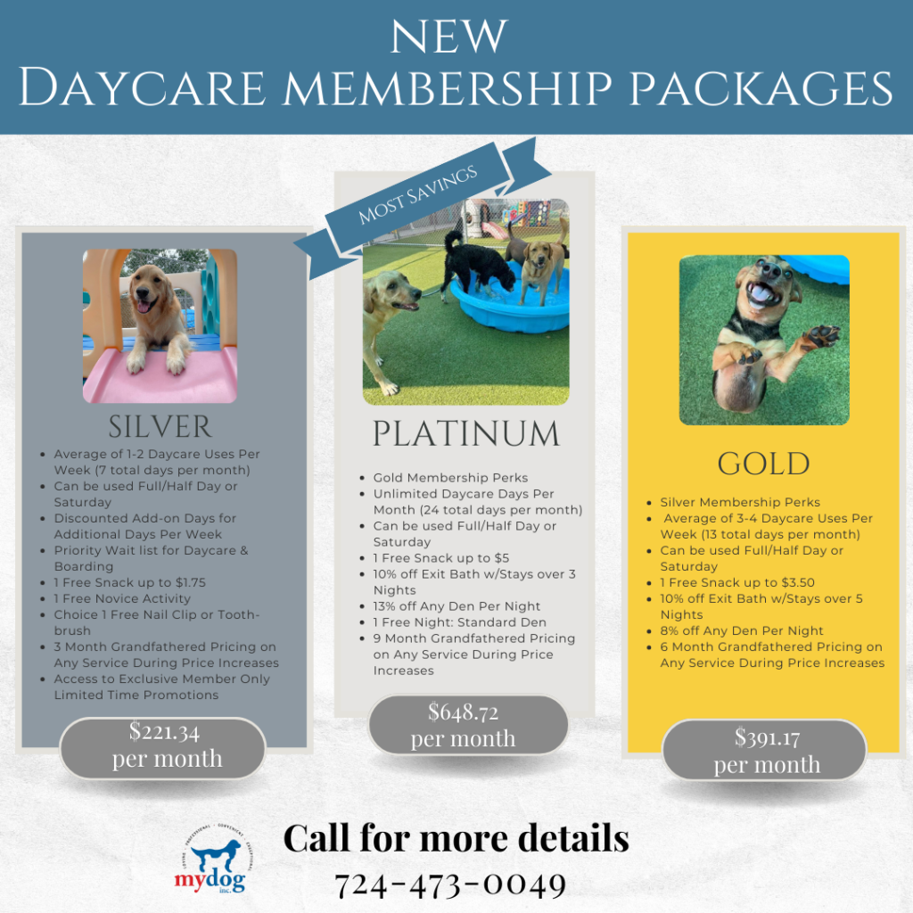 Daycare membership program. Silver, Gold, Platinum