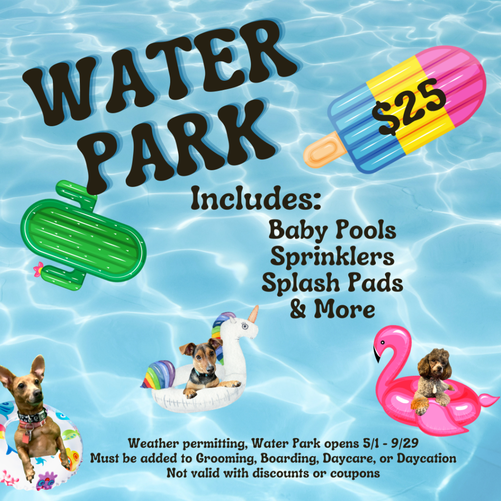 My Dog's Care Center Water Park Activity $25
