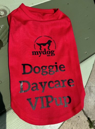 Dog T-shirt available in various sizes