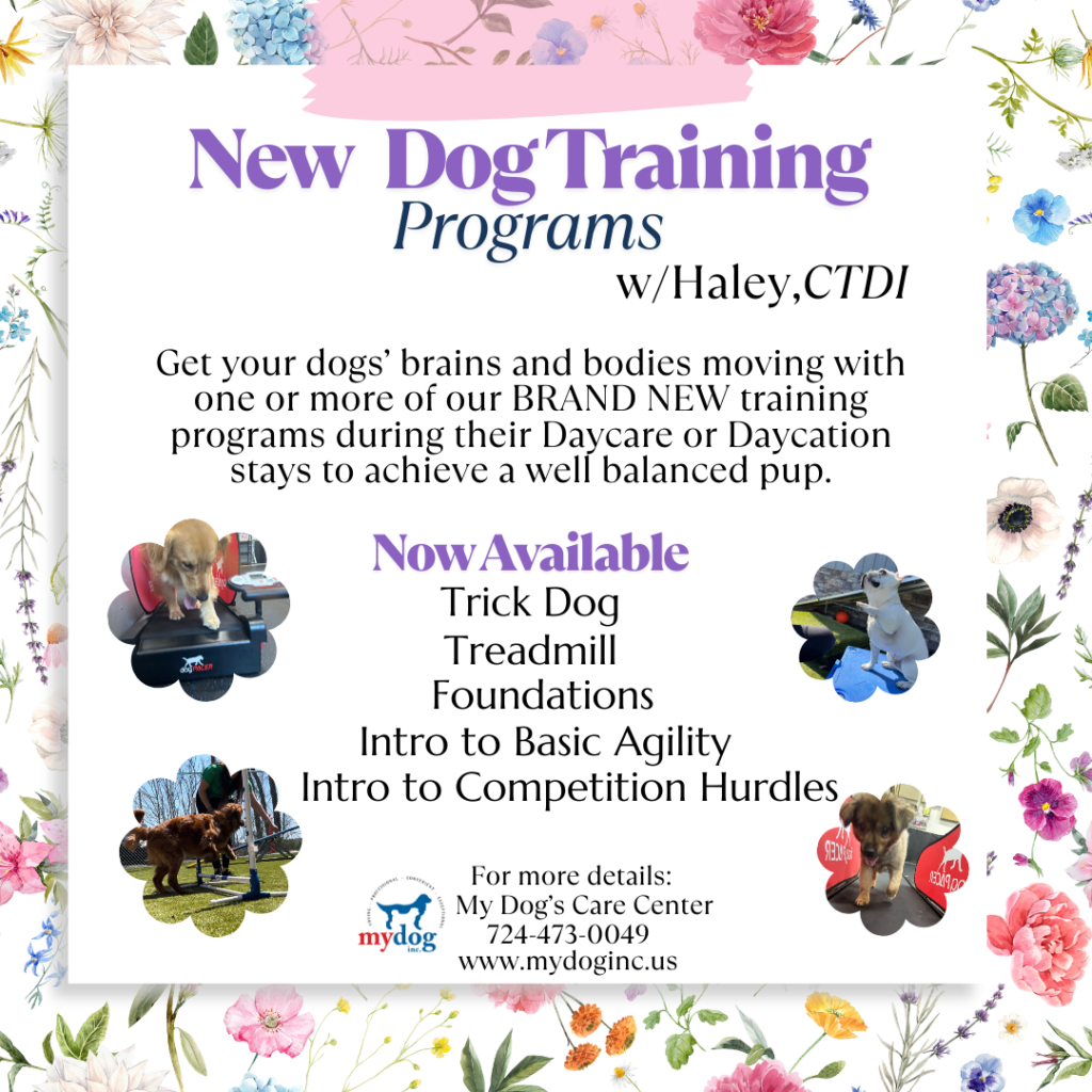 Phase 2 Training(1)