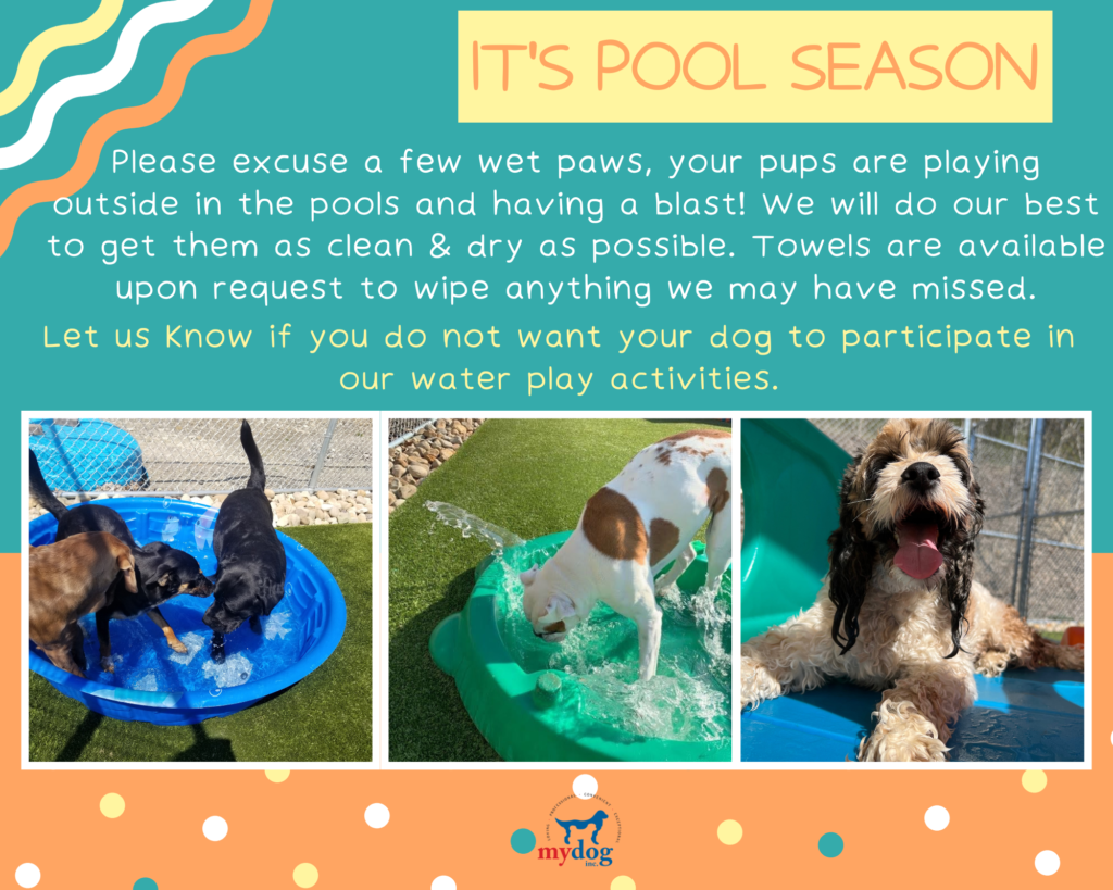Pool Season