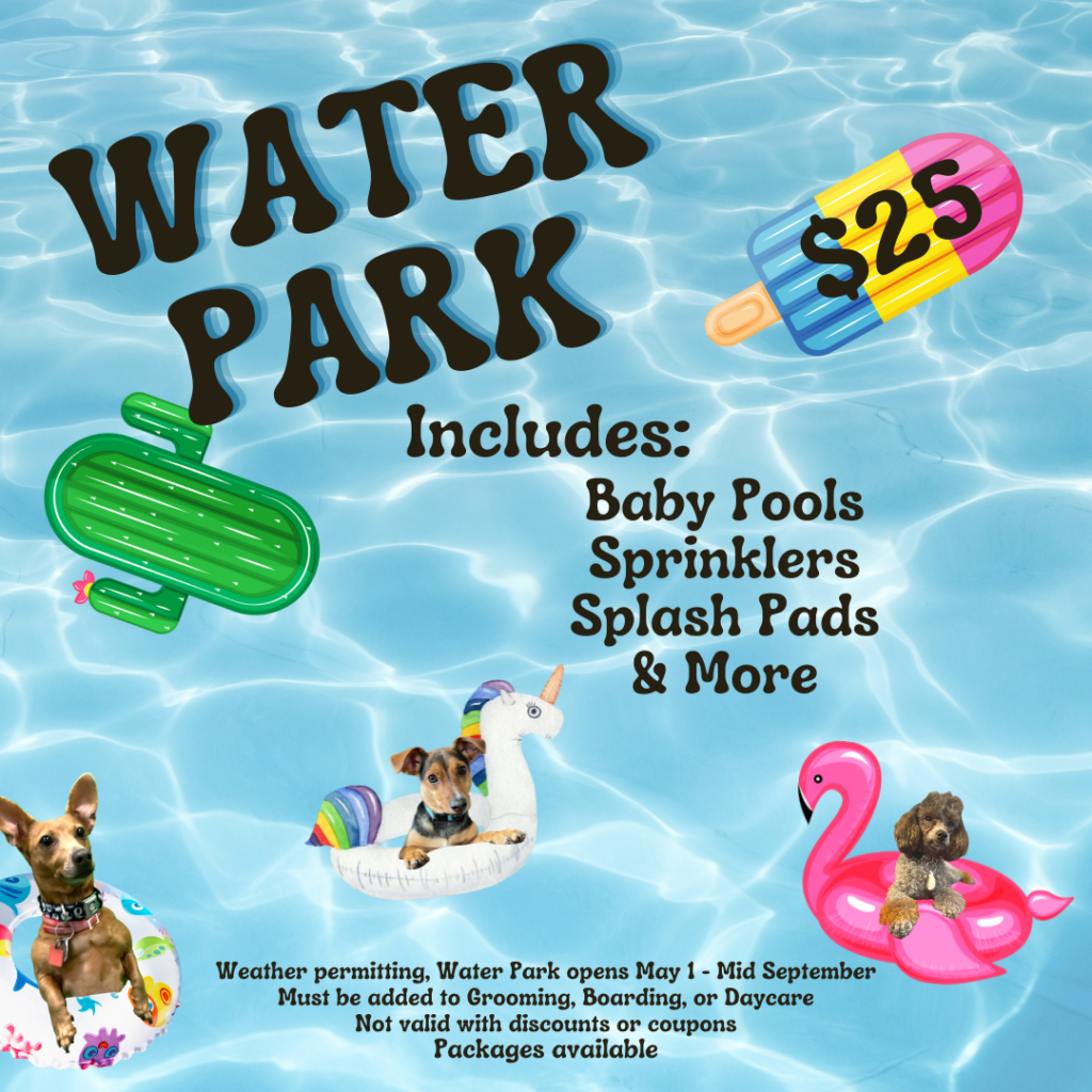 Water Park 2025