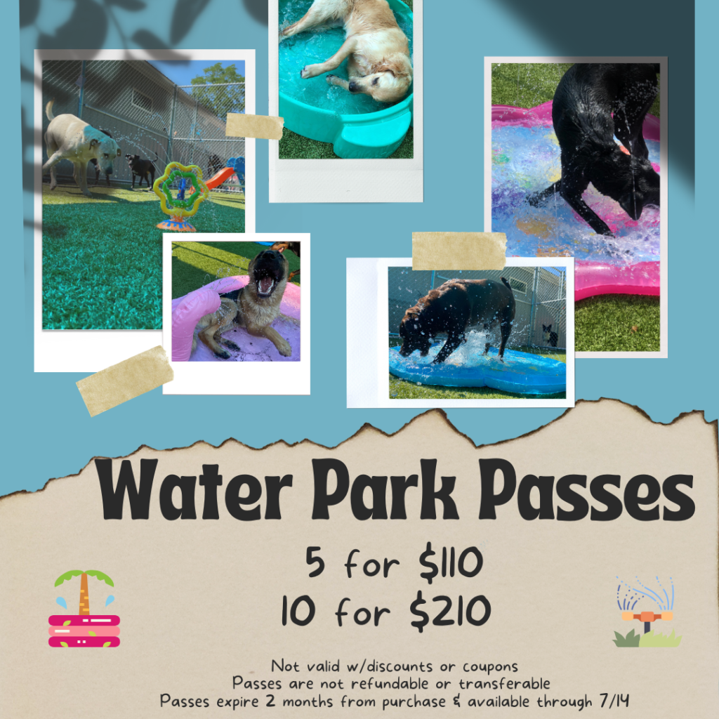 Water Park Passes 2025