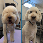face trim