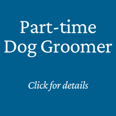 Dog Groomer for hire