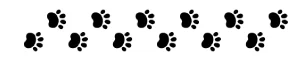 dog paws