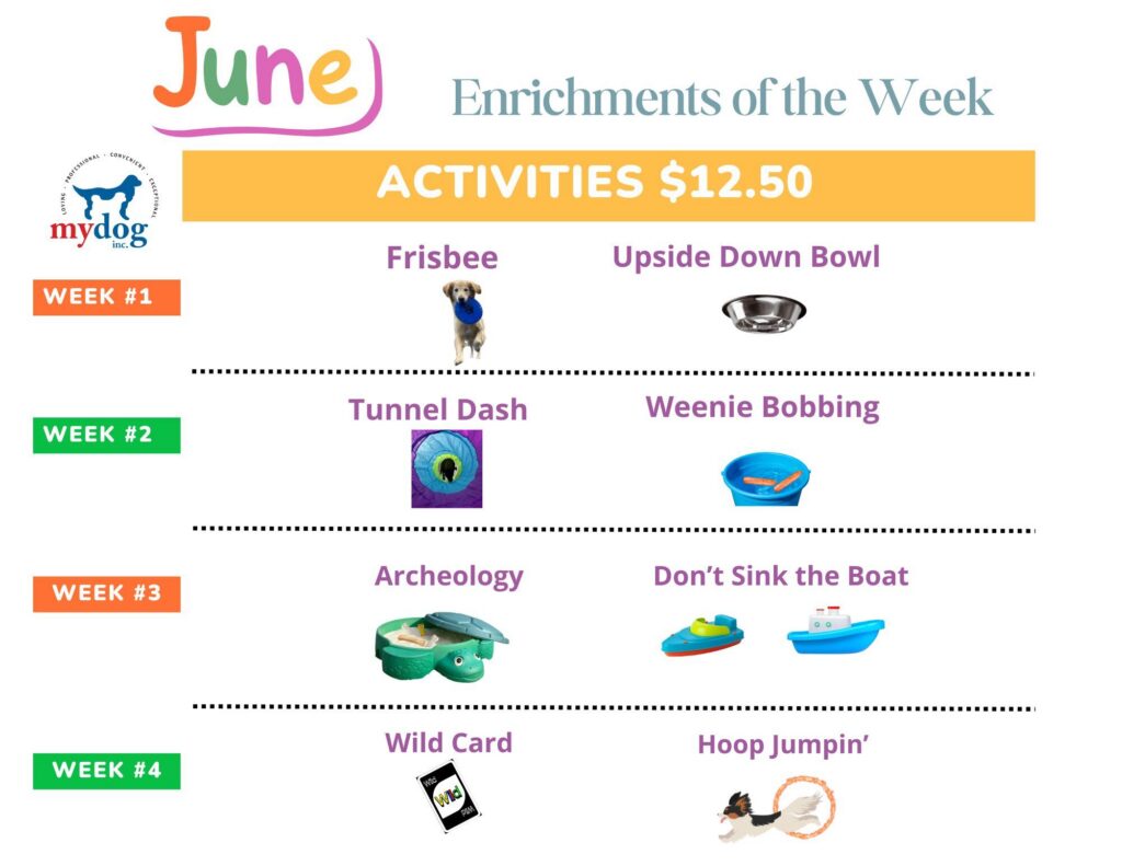 June 2026 enrichment of the week calendar