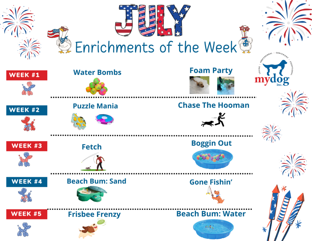 July's 2026 Enrichment of the day Calendar